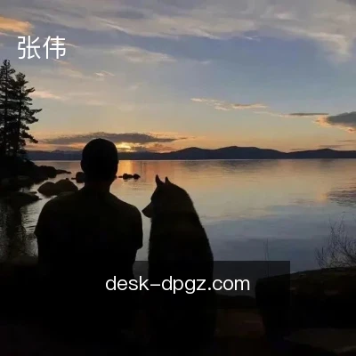 张伟